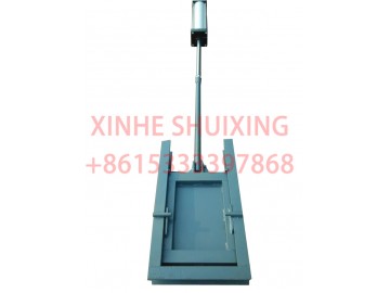 Pneumatic gate